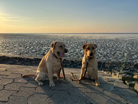 Strand Nordsee Carolinensiel